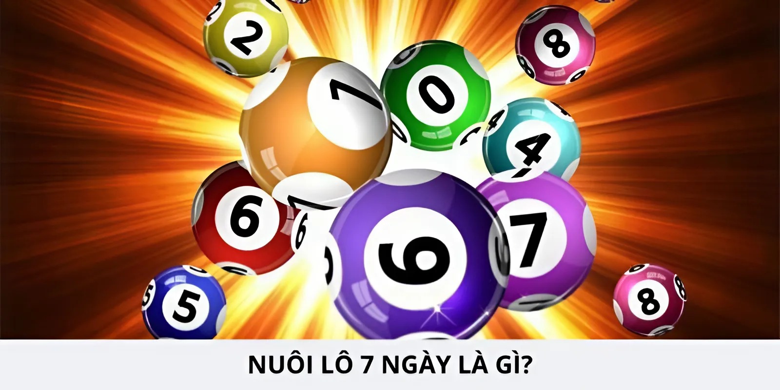 nuoi-lo-7-ngay-la-gi