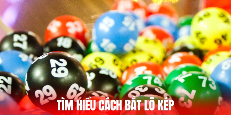 tim-hieu-cach-bat-lo-kep